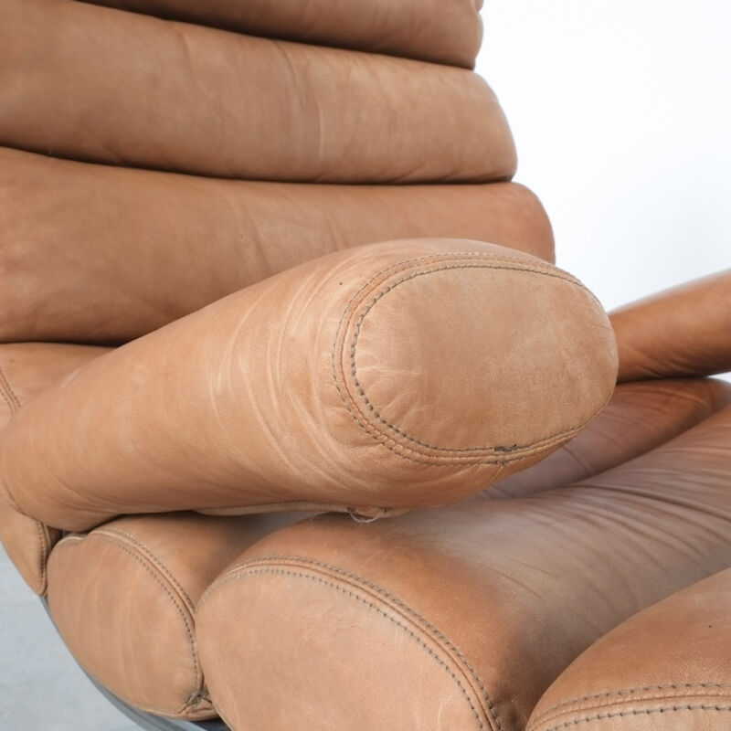 Cor Sinus Leather Chair 33